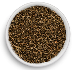 CARVI GRAINES (CUMIN DES PRÉS) CERTIFIÉ BIO